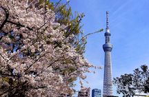 Unlock Hidden Tokyo: Private Custom Tour with a Local driver