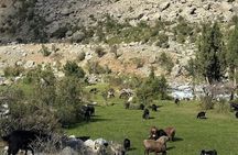 Tadjikistan 7 Lakes Day Trip from Samarkand with Lunch