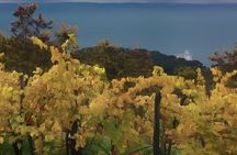 Explore Trieste Highlights Tour