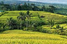 Tanah Lot, Jatiluwih Rice Terrace and Waterfall Day Tour