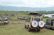4-Day Serengeti Ngorongoro Camping