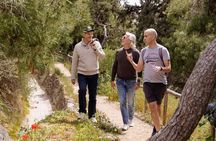 Ultimate Athens Hills Climb