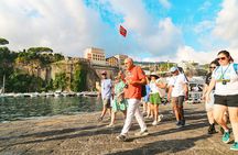 Capri & Anacapri Day Tour with Blue Grotto included from Sorrento