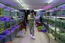 Motorbike Tour Saigon Hidden Gems and Food Tasting