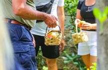 Sorrento Feast: Hands-On Pasta, Tiramisu & Limoncello Fun Class