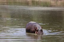 Nairobi: 3 Day Maasai Mara Group Safari With Overnight Camp