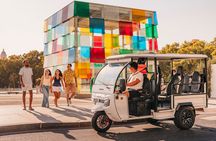Malaga 1 hour private city tour by Tuk and Flow