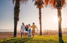 Malaga 1 hour private city tour by Tuk and Flow