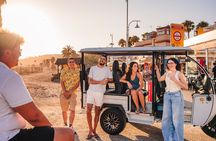 Malaga 1 hour private city tour by Tuk and Flow
