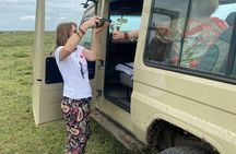 4 Day Northern Circuit Safari Tarangire, Serengeti and Ngorongoro