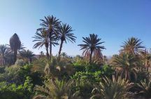 Private Tour from Ouarzazate Skoura Roses Valley Dades Gorges 