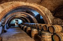 Exclusive Tour Catena Zapata