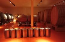 Exclusive Tour Catena Zapata