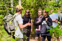 Enchanting Afternoon in Nuuksio National Park with Campfire snack