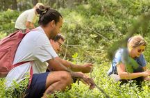 Enchanting Afternoon in Nuuksio National Park with Campfire snack