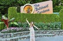 Wheelchair Van Tour | Butchart Gardens and City Tour in Victoria
