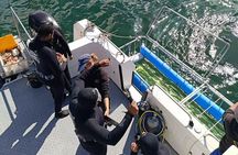 CapeTown: Shark Cage Diving Experience with Scuba 
