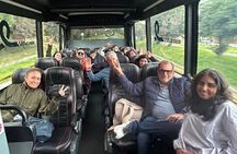 Panoramic bus with alternative experiences (group tour)