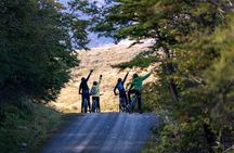 Fjord electric bike tour, full day