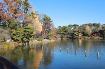 Let's take a walk in the park together!!!