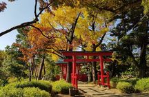 Let's take a walk in the park together!!!
