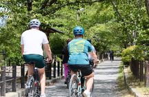 Kyoto E-Bike Tour of Hidden Gems, Backstreets and Temples