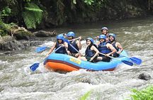 Discover Ubud Waterfall Swing Rice Terrace and Monkey Forest