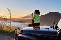Discover Ubud Waterfall Swing Rice Terrace and Monkey Forest