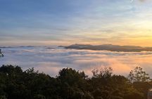Da Lat Cloud Hunting Tour with Local Breakfast