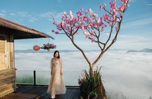 Da Lat Cloud Hunting Tour with Local Breakfast
