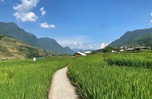 Private Trekking Tour in Sapa: Y Linh Ho, Lao Chai & Ta Van