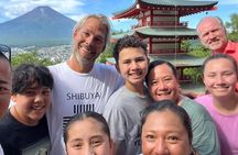 8 Days Best Of Japan Family Small Group 