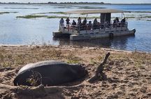 Unique Chobe Day Trip + Africa’s Quadripoint Border
