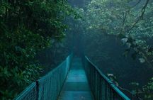 Monteverde Cloud Forest hanging bridges Nature Tour