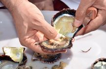 Suwaidi Pearl Farm in Ras Al Khaimah with Private Transfers