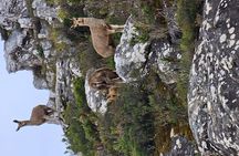 Swartberg Mountain Pass Cycling Experience