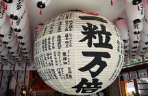 Osaka’s Hidden Gem: Sumiyoshi Taisha Shrine Tour in 90 Minutes