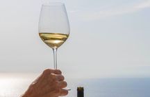 Syros wine tasting and village walk