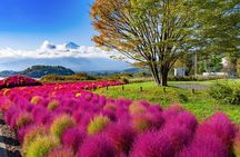 Small Group Tour Mount Fuji and Lake Kawaguchi from Tokyo