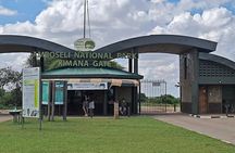 Day Trip to Amboseli National Park with a view of Mt Kilimanjaro