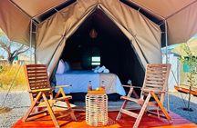 3 Day Tlou Tented Safari In Pilanesberg National Park