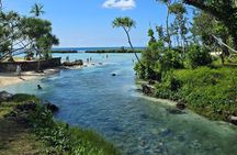Half Day Tour at Eton Beach and Blue Lagoon with Lunch at Turtles