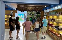 Puerto Plata City Tour (Premium)