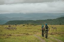Hells Gate National park using Electric bike & Lake Naivasha