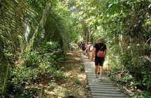 Tambopata Jungle Adventure Tour 4 Days