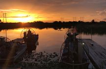 From Miami: Everglades at Night with Airboat and Alligators Tour
