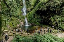 2 Days Nyungwe National Park Tours -Chimps-Canopy-Waterfall