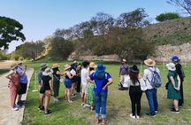 Monte Alban Only - Half Day Guided Tour - Oaxaca