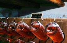 Winery Tour and Tasting 4 wines at Cantina Le Macchie near Rome