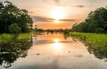 Iquitos Amazon River Adventure Full Day